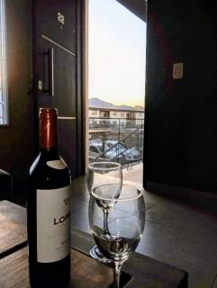 DEPARTAMENTO BOUTIQUE DE DISEÑADOR " TERRAZA 22 " - Cochera- Vista a la Montaña- CANCELACIÓN GRATUITA- PAGARÁS EN EL ALOJAMIENTO - Mendoza - 9