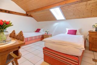 Apartment Landhotel Zum Storchennest - Bann - 1