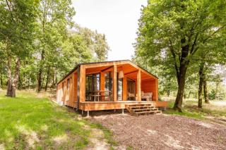 Resort Wilsumer Berge - 1