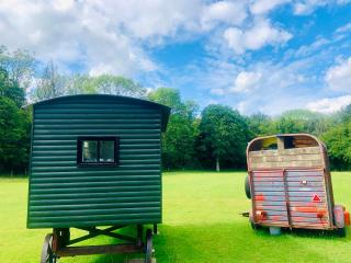 The Little Green Shepherds Hut - Charlwood - 6