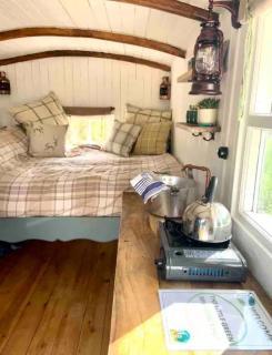 The Little Green Shepherds Hut - Charlwood - 5