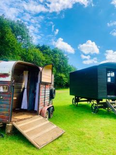 The Little Green Shepherds Hut - Charlwood - 9