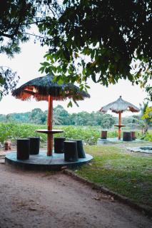 Ceylon Amigos Eco Resort - 5