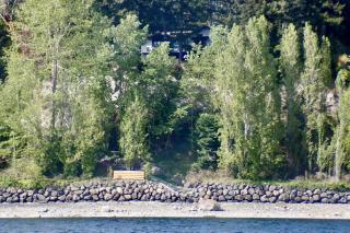 Puget Sound Orca Retreat - Poulsbo - 4
