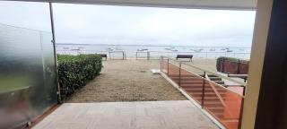 Nice cocoon near the beach in Arcachon - Arcachon - 1