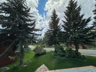 Snowflower #75 condo - 1