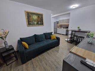 Home Studio - Sighişoara - 7