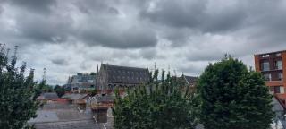 Spacious 1BD in City Centre 9mins To Jervis - 7