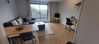 Spacious 1BD in City Centre 9mins To Jervis - Dublin - 5