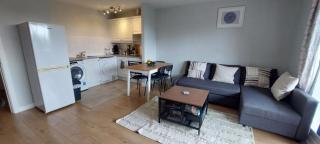 Spacious 1BD in City Centre 9mins To Jervis - Dublin - 1