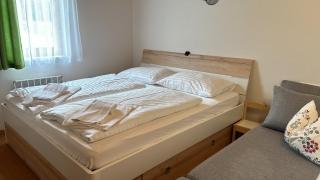 GRIASS EICH Ski-to-door Apartment by Isa Badkleinkirchheim - 5