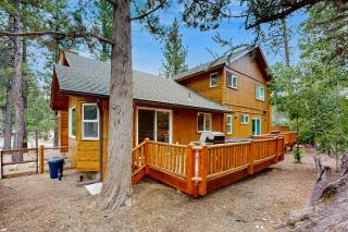 Big Bear Adventure - Big Bear Lake - 1