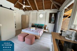 Suite Lagoon climatisée avec piscine, spa privatif - 4