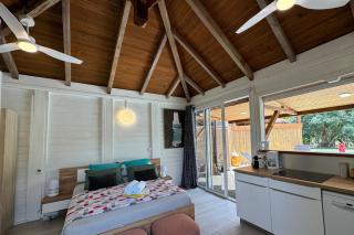 Suite Lagoon climatisée avec piscine, spa privatif - 1