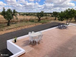 Quinta Monte da Azinheira - Amareleja - 9