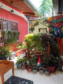 Casa Micaela - Iquitos - 4