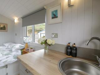 Shepherd's Hut at Penrallt Goch - 5