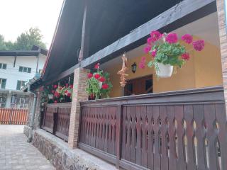 Dor de Munte Transfăgarasan - Cîrţişoara - 4