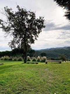 Cottage da Fonte Seca - 9