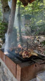 Vikendica Gradačka Poljana - Šavnik - 3