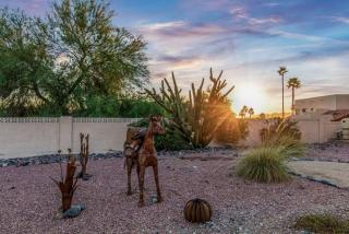 Sunrise Oasis your Western Oasis in the Desert - Fountain Hills - 6