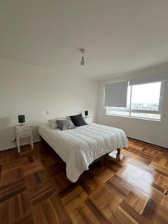 Dpto remodelado en Providencia - Santiago - 6
