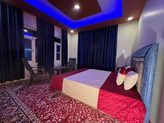 ARYAN GRAND PALACE Hotel and veg Restautant - Kanzalwan - 4