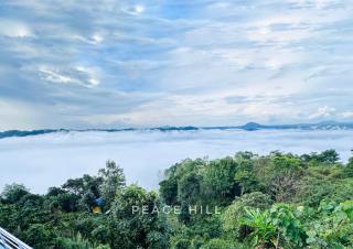 Peace Hill - Meppādi - 7