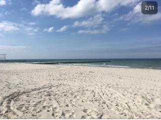 Kirschblüte - Zingst - 3