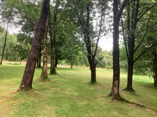Milkwood - Llangain - 9