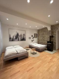 Luxury CityApartment 5 - Wenen - 4
