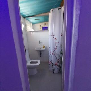 PRIVATE FARM HOUSE IN 80 ACRES LAND - Foça - 8