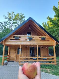Kuća za odmor Stara Jabuka - Ledinci - 8