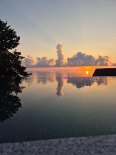 Marco Polo Sarpi - 6