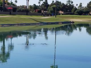 Private Patio, Close To Pool & Clubhouse Walkable - Scottsdale - 1