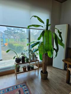 New stay dear - Cheongju - 7