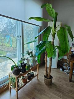 New stay dear - Cheongju - 3