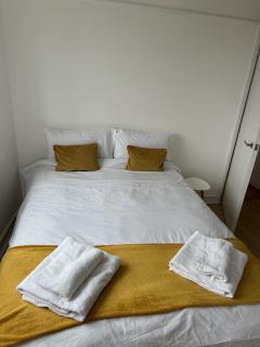 2 bedroom apartment next to Euston station - Londra - 7