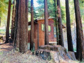 Little House in the Redwoods with a hot tub! - 6