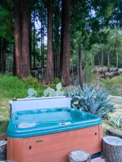 Little House in the Redwoods with a hot tub! - 4