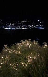 Il Paradiso all'improvviso - Vezzano Ligure - 6