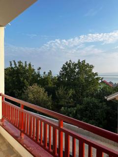 Radojkovic LUX - Golubac - 2