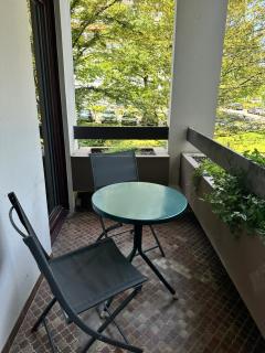 Annecy spacious 3 bedrooms apartment - Annecy - 8