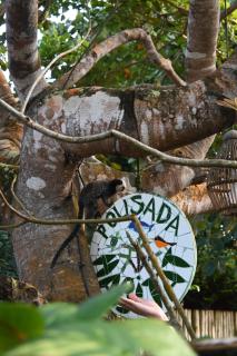 Pousada Habitat Caraíva - 9