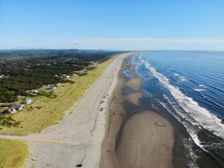 The Hawaiian Cottage 2-Bed by the Sea w fireplace - Grayland - 5