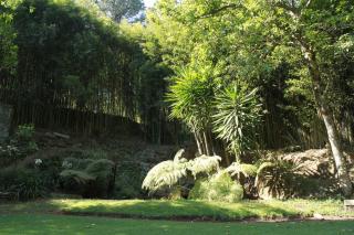 Casa Avándaro con alberca, Río, Bosque y Cocinera! - Valle de Bravo - 4