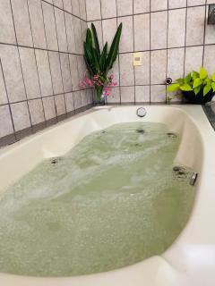 Casa com Piscina, Hidro, Área Verde e Espaço Gourmet - Goiânia - 8