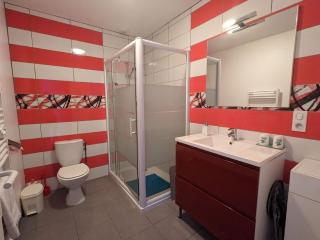 Spacieuse Chambre avec Salle d'Eau Privée à Louer dans Maison d'Hôtes Contemporaine - FR-1-591-606 - 3