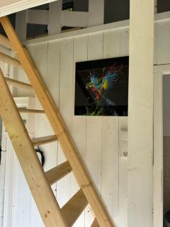 Tinyhaus & Souterrain Apartment in Ortenberg - 3