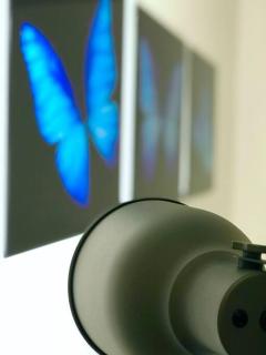 GroveO6 10 minutes from the Beach - 8